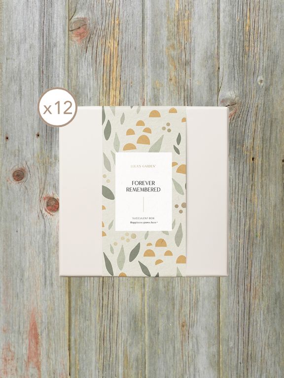 LULAS GARDEN URBAN SLEEVE - FOREVER REMEMBERED
